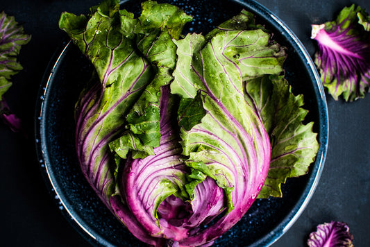 3 reasons why your body needs we care 365 liquid nutrition